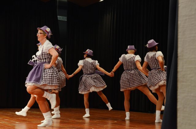 umzug simmern_140301_vb_343